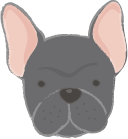 Die Pflege von kleinen Hunden