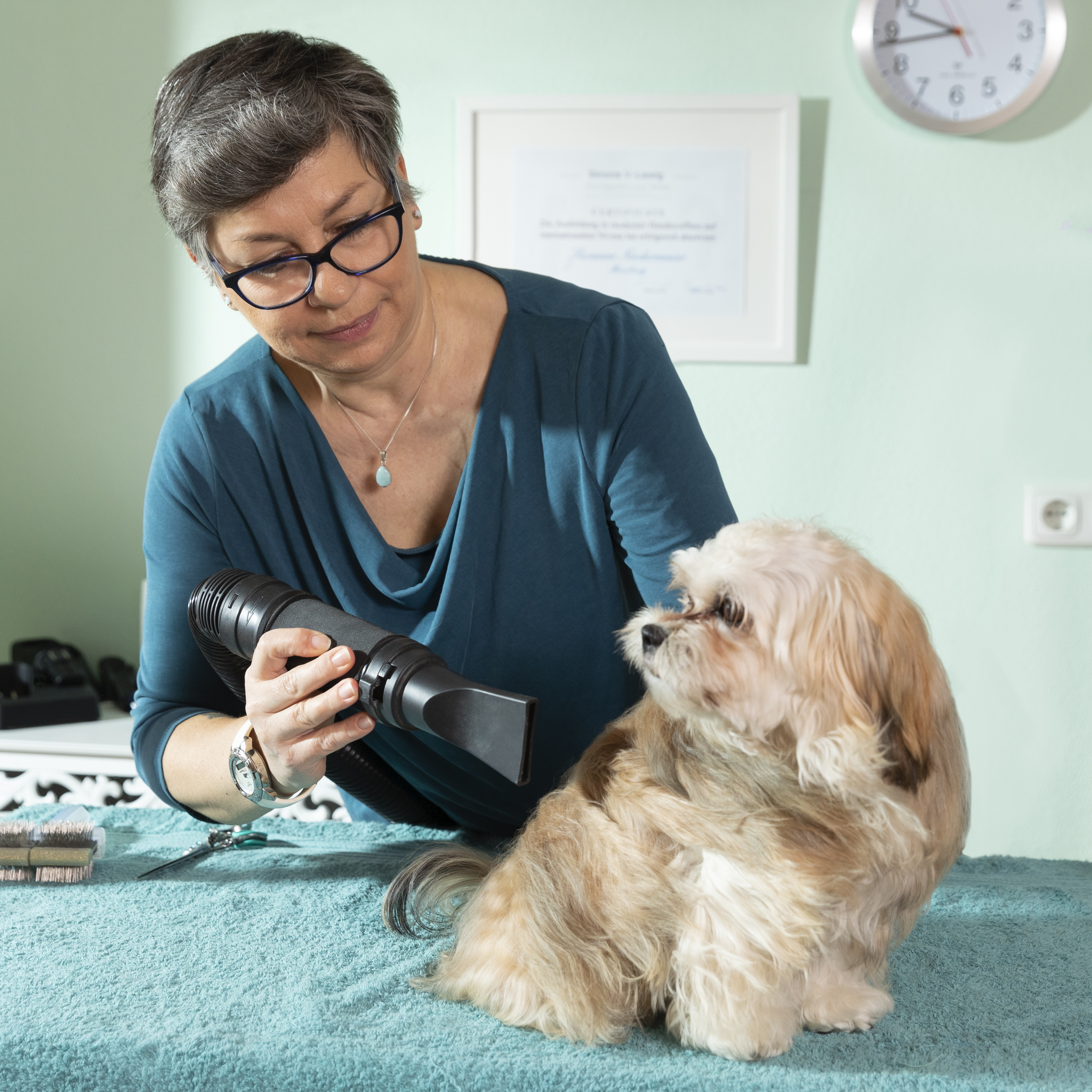 Top hundefriseur in der nähe moosburg
